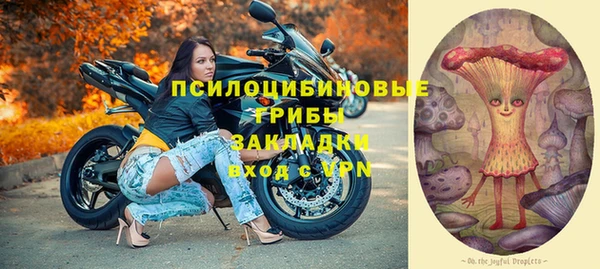 дмт Арсеньев